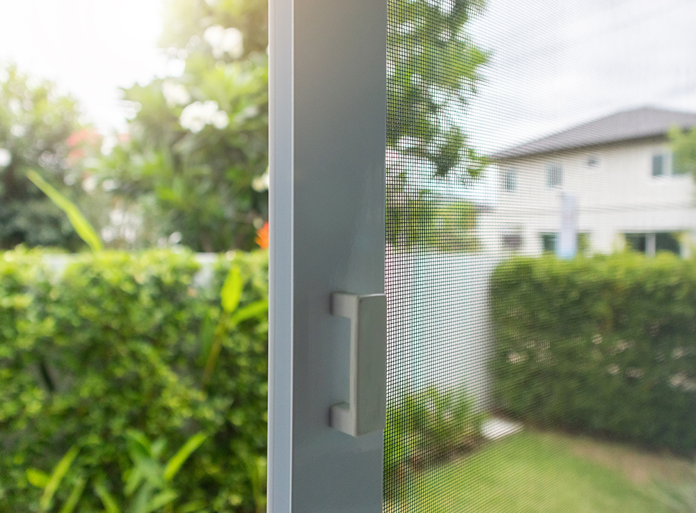 Fenster mit Insektenschutz